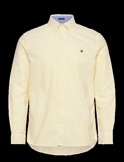 Superdry | Preppy Oxford L/S Shirt | S
