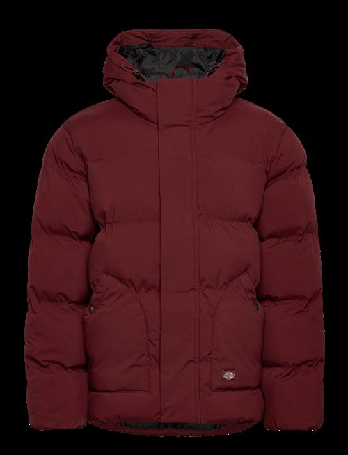 Dickies | Eagleville Hooded Puffer | XS