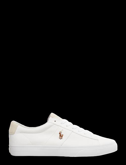 Polo Ralph Lauren | Sayer Canvas Sneaker | 45