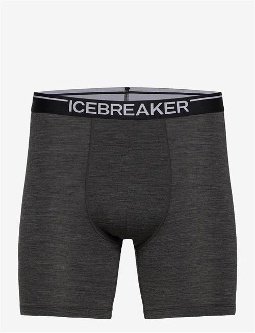 Icebreaker | Men Merino 150 Anatomica Long Boxers | S