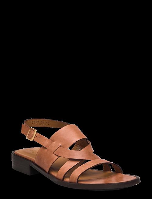ANGULUS | Sandals - Flat | 37
