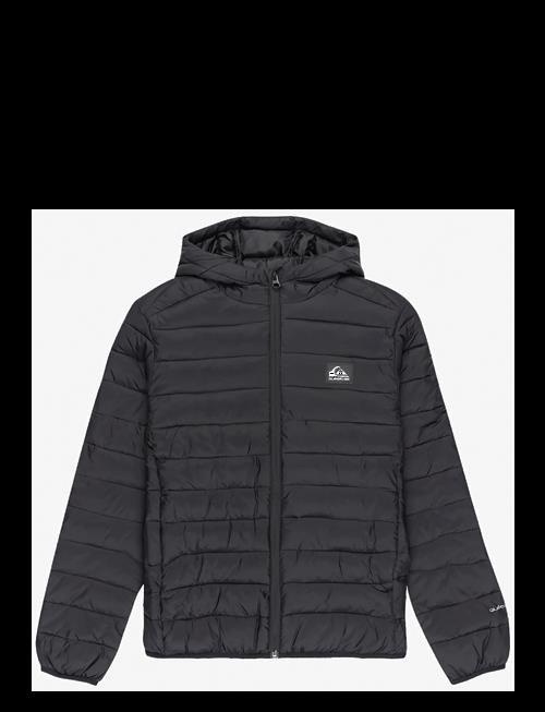 Quiksilver | Scaly Youth | 12