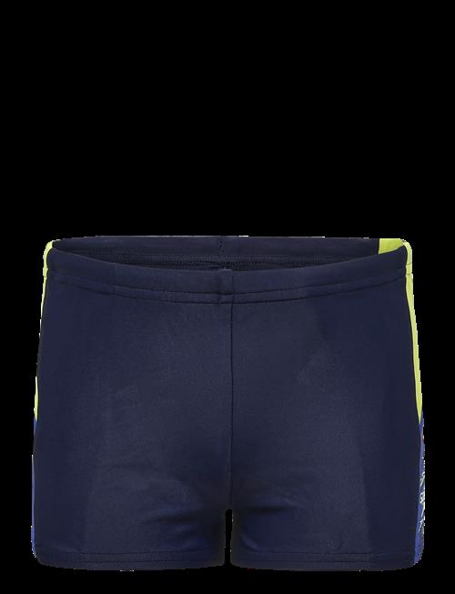 Speedo | Dive Aquashort | 128