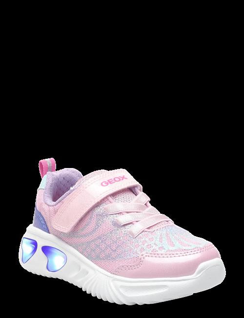 GEOX | J Assister Girl A | 30