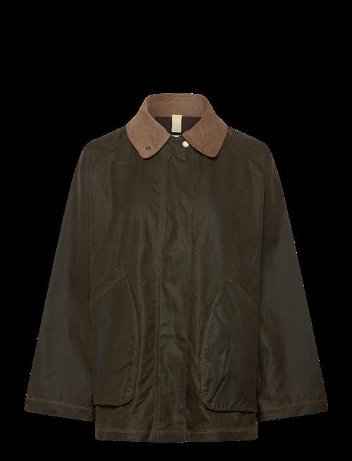 Brixtol Textiles | Davonna Light Olive | L