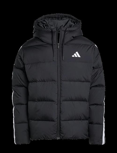adidas Sportswear | Ess 3S P D Hd J | S