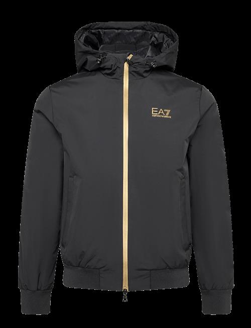 EA7 | Bomber Jacket | S