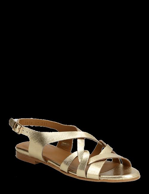 ANGULUS | Sandals - Flat | 40