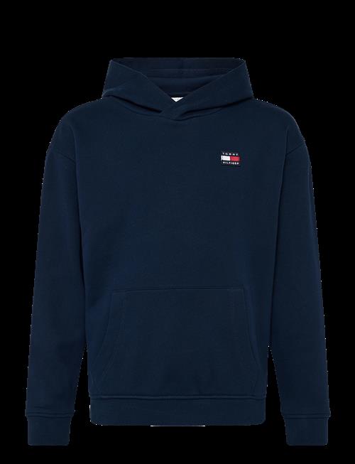 Tommy Hilfiger | Flag Heritage Hoodie | 122