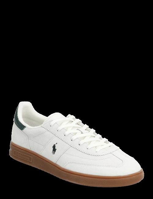 Polo Ralph Lauren | Bedford Suede Sneaker | 40