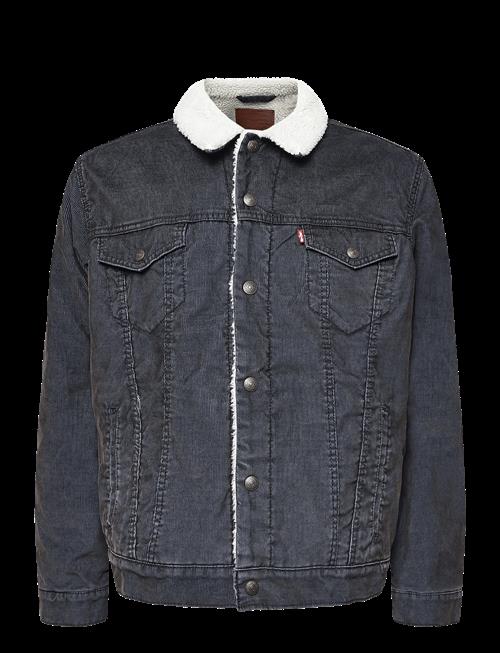 Levi's® | Type 3 Sherpa Trucker Wornin C | M