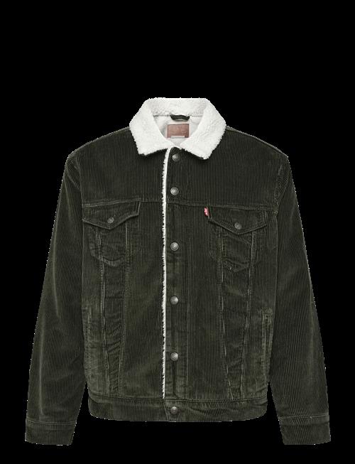 Levi's® | Type 3 Sherpa Trucker Rosin | XXL