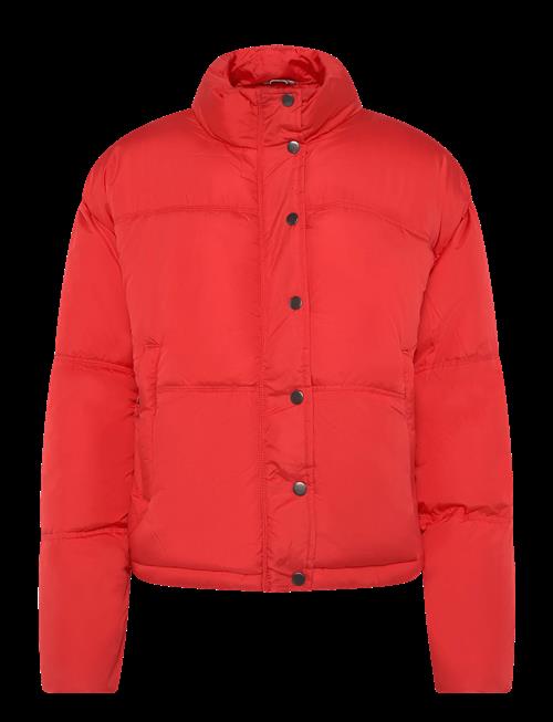 Fransa | Frebba Ja 1 | XS