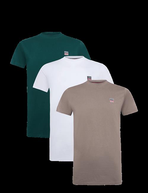 VINSON | Vin 3 Pack T-Shirt Massimo Men | XL
