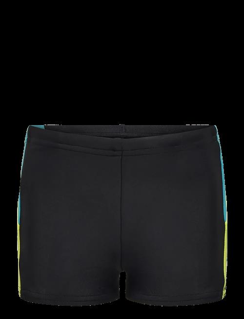 Speedo | Dive Aquashort | 176