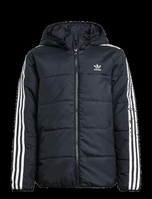 adidas Originals | Padded Jacket | 140