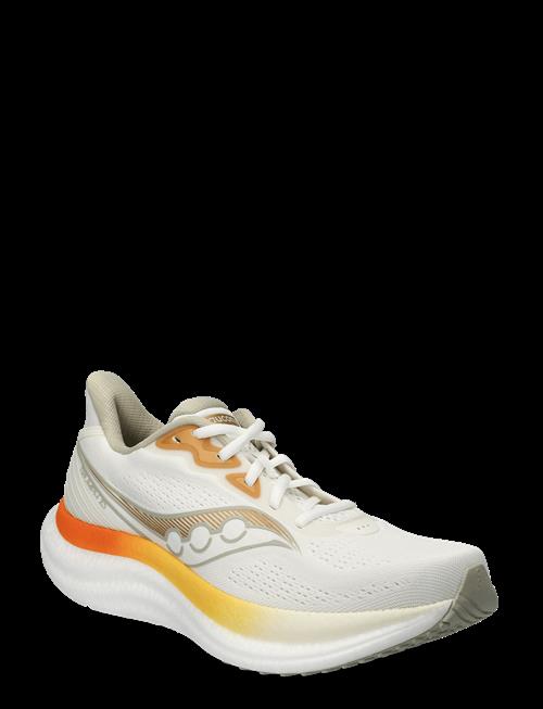 Saucony | Triumph 23 Men | 43
