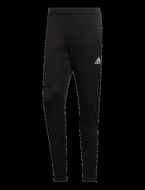 adidas Performance | Ent22 Tr Pnt | L
