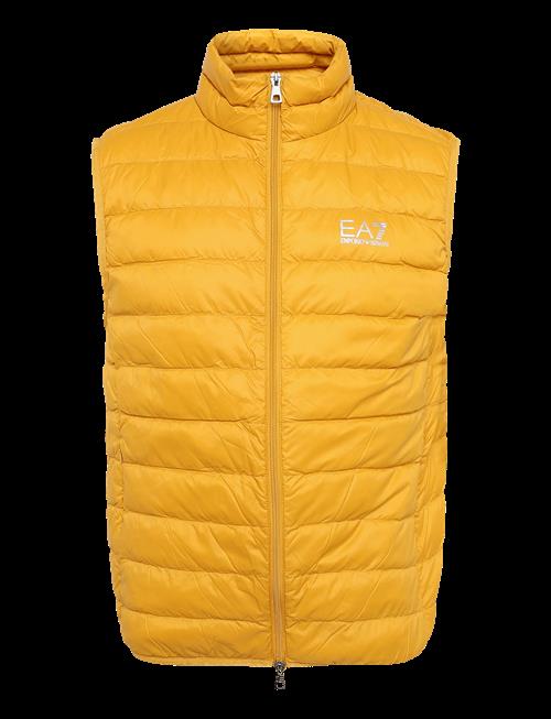 EA7 | Down Waistcoat | XXL