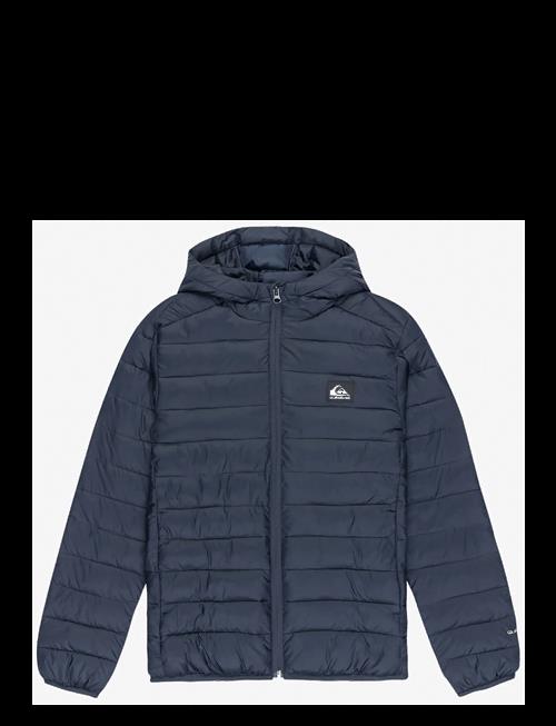 Quiksilver | Scaly Youth | 14