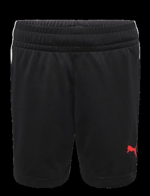 PUMA | Individualliga Training Shorts Jr | 176