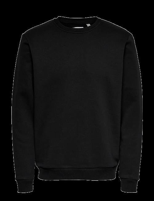 ONLY & SONS | Onsceres Crew Neck Noos | XXL
