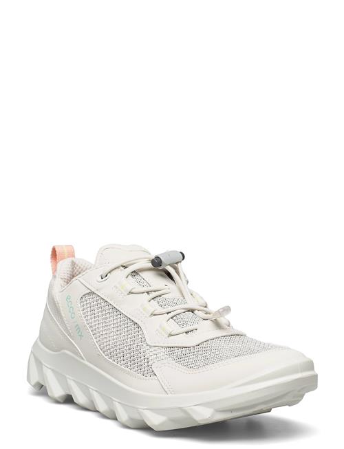 ECCO | Mx W | 41