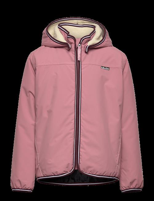 Molo | Winner | 140