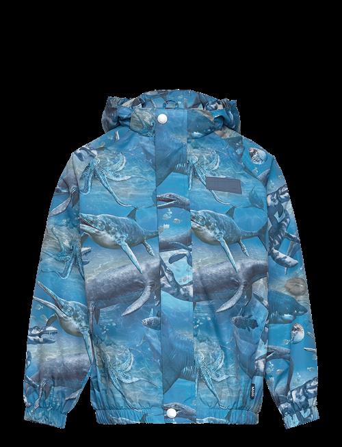 Molo | Waiton | 110-116