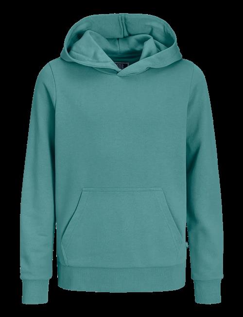 Jack & Jones | Jjebradley Sweat Hood Noos Jnr | 176