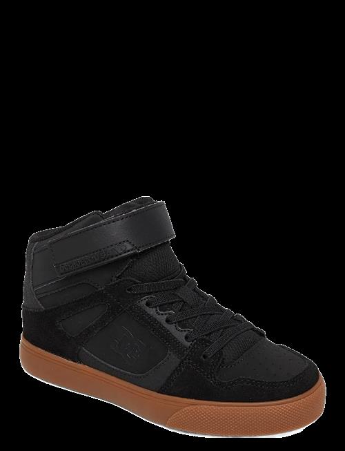 DC | Pure High-Top Ev | 36.5