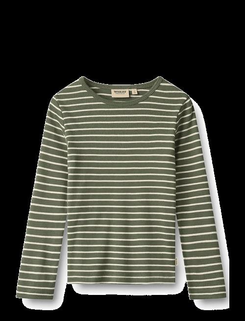 Wheat | T-Shirt L/S Stig | 122