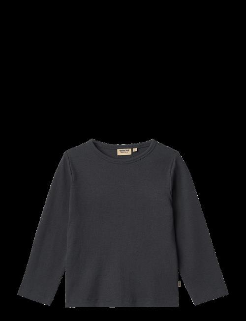 Wheat | T-Shirt L/S Milo | 104