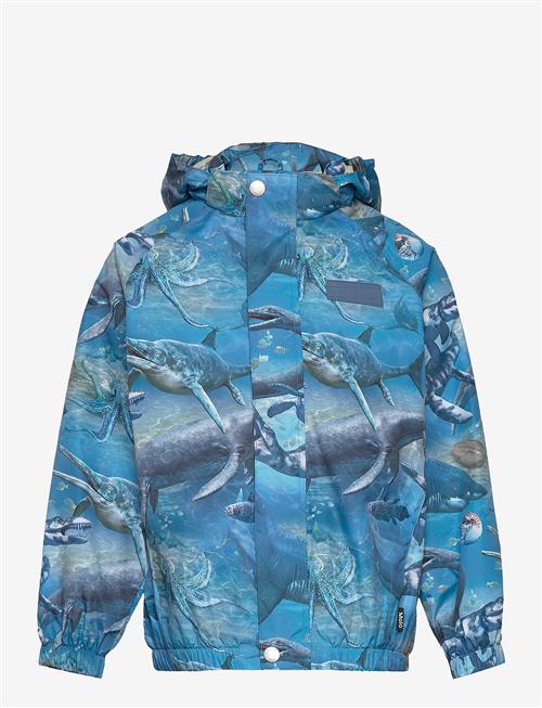 Molo | Waiton | 86-92