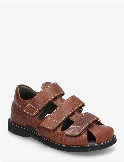 ANGULUS | Sandals - Flat  - Closed Toe | 26