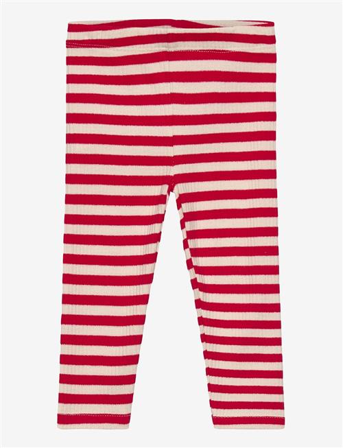 THE NEW SIBLINGS | Tnsbfro Rib Leggings | 74