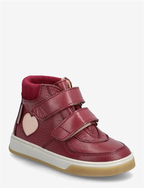 ANGULUS | Shoes - Flat - With Velcro | 30