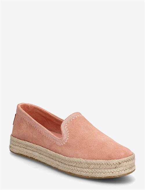 TOMS | Carolina | 41