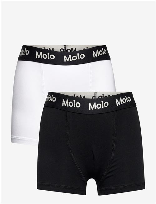 Molo | Justin 2-Pack | 110-116