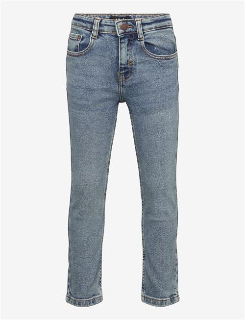 Molo | Aksel | 164