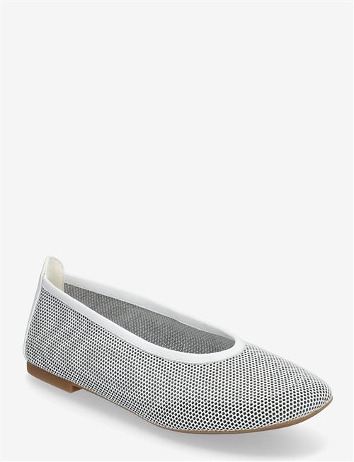 UNISA | Barkynnpe | 40