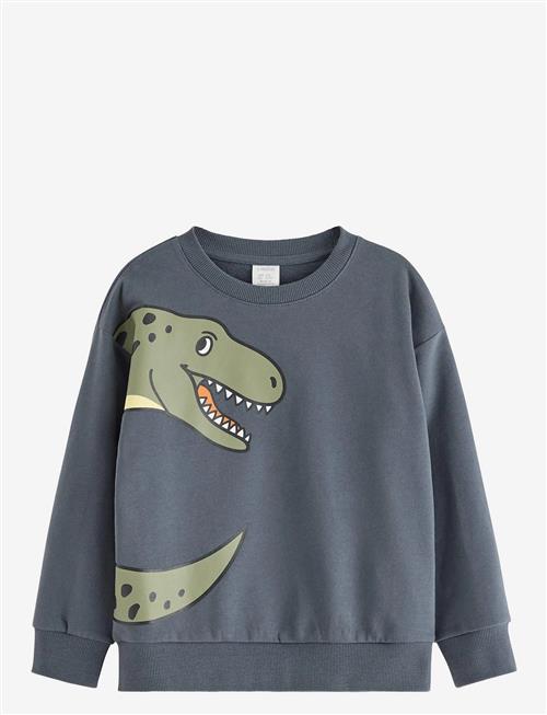 Lindex | Sweatshirt Dino Placement | 104