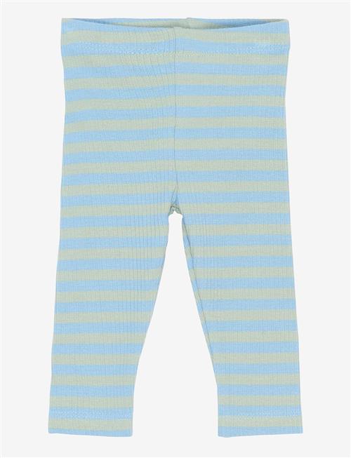 THE NEW SIBLINGS | Tnsbfro Rib Leggings | 68