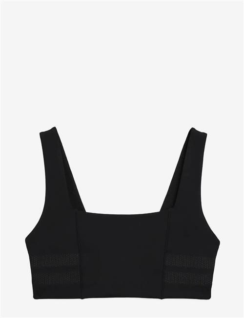 STRONGER | Signature Square Neck Sports Bra | XL