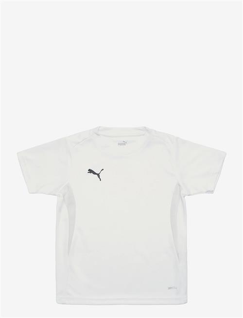 PUMA | Teamgoal Jersey Jr | 152