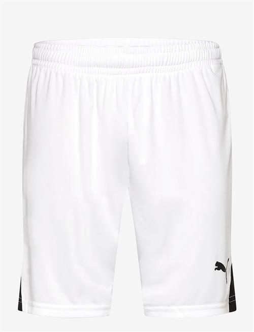 PUMA | Teamliga26 Shorts | XXL
