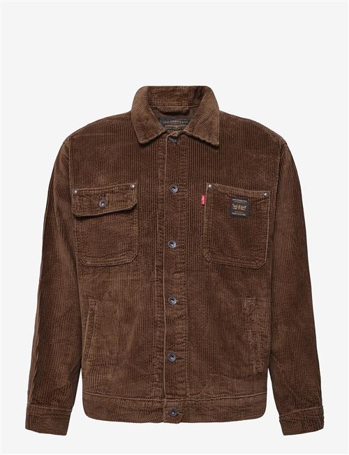 Levi's® | Sunrise Trucker Desert Palm Co | L
