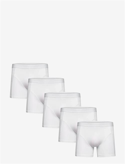 Shine Original | 5 Pack Tights | XXL