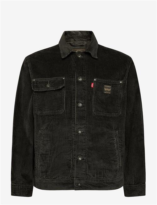 Levi's® | Sunrise Trucker Perfect Storm | L