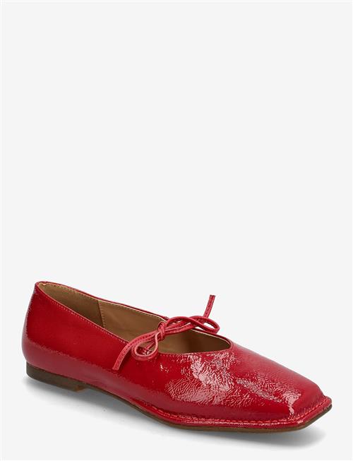Steve Madden | Lola | 42